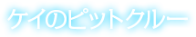 ケイのピットクルー