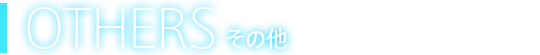 OTHERS その他